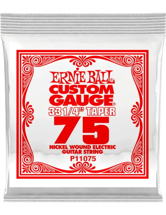 ERNIE BALL 11075 | MusicGoodDeal