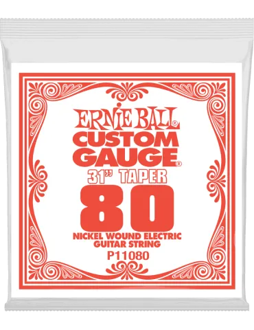 ERNIE BALL 11080 | MusicGoodDeal