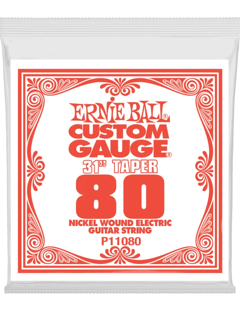 ERNIE BALL 11080 | MusicGoodDeal