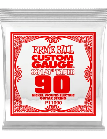 ERNIE BALL 11090 | MusicGoodDeal