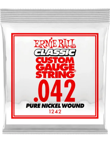 ERNIE BALL 1242 | MusicGoodDeal