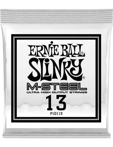 ERNIE BALL 10113 | MusicGoodDeal
