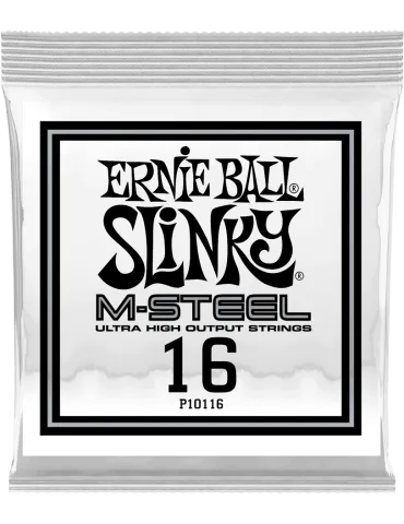 ERNIE BALL 10116 | MusicGoodDeal