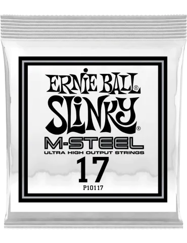 ERNIE BALL 10117 | MusicGoodDeal
