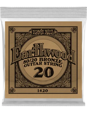 ERNIE BALL 1420 | MusicGoodDeal