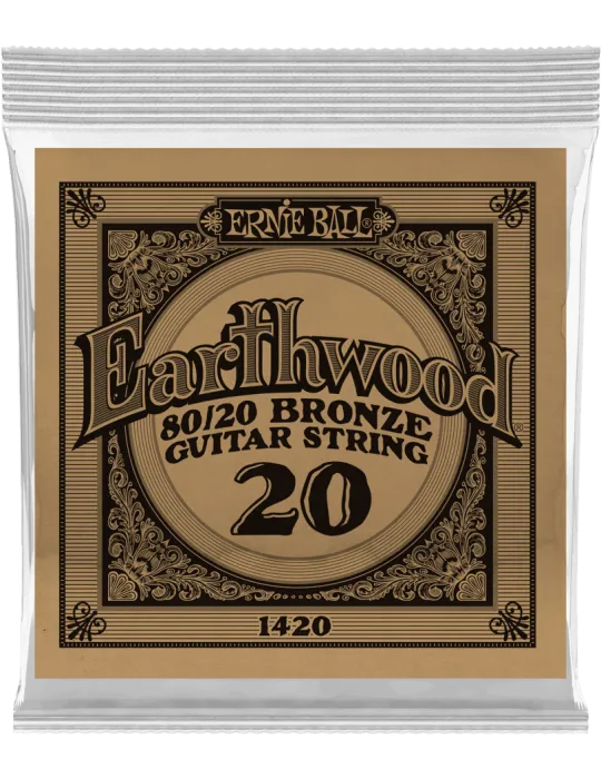 ERNIE BALL 1420 | MusicGoodDeal