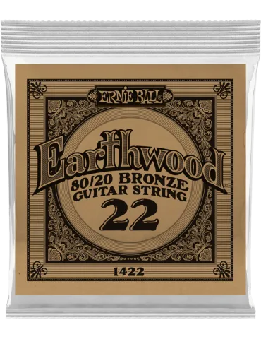 ERNIE BALL 1422 | MusicGoodDeal