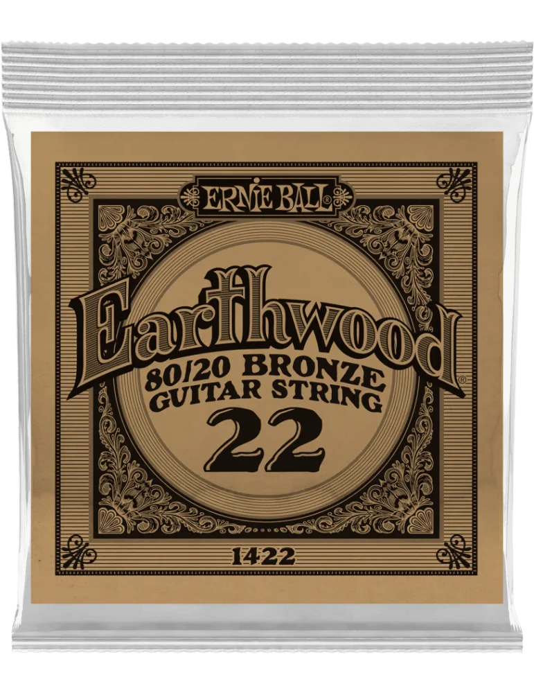 ERNIE BALL 1422 | MusicGoodDeal