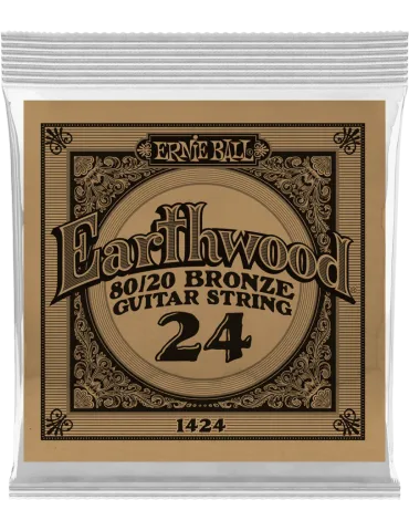 ERNIE BALL 1424