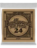 ERNIE BALL 1424 | MusicGoodDeal