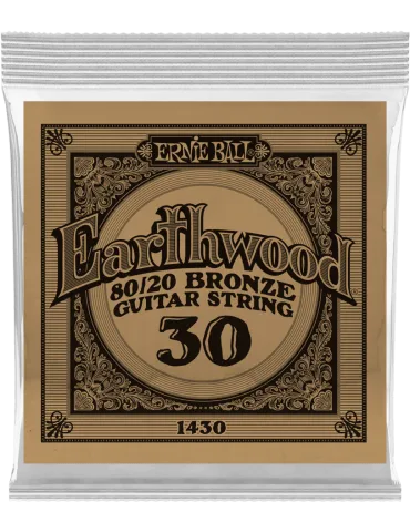 ERNIE BALL 1430