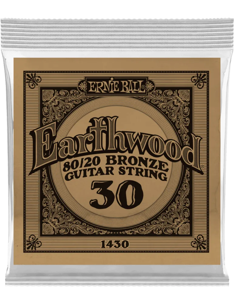 ERNIE BALL 1430 | MusicGoodDeal