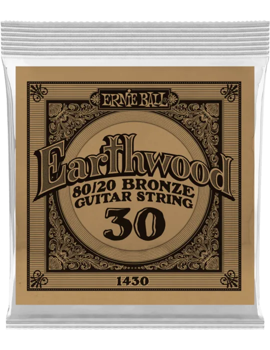 ERNIE BALL 1430 | MusicGoodDeal