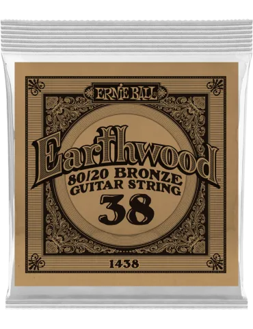 ERNIE BALL 1438 | MusicGoodDeal
