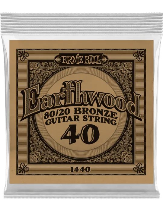 ERNIE BALL 1440 | MusicGoodDeal