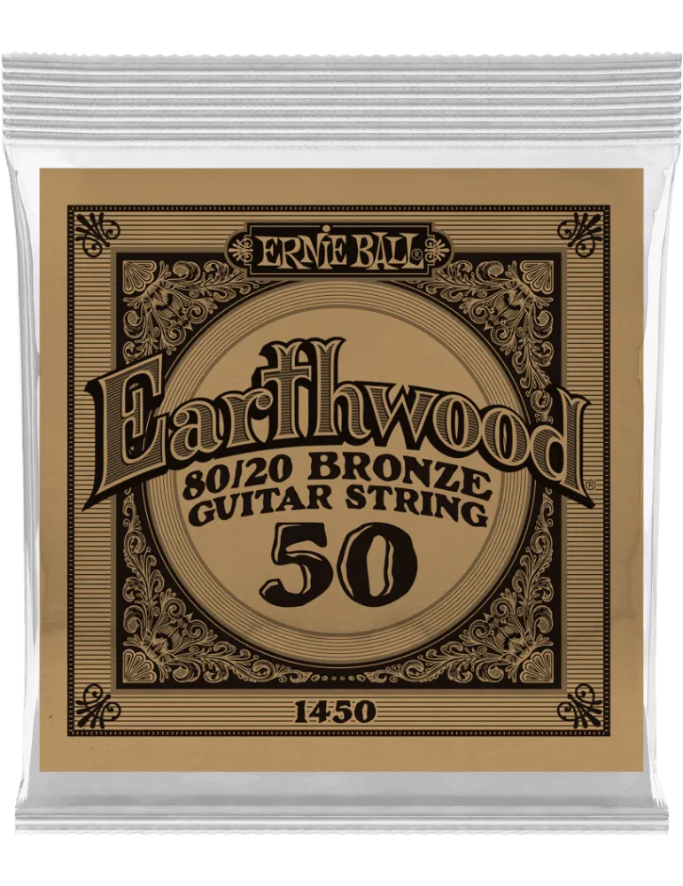 ERNIE BALL 1450 | MusicGoodDeal