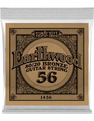ERNIE BALL 1456 | MusicGoodDeal