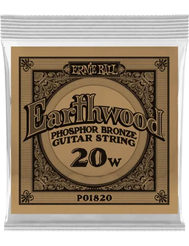 ERNIE BALL 1820 | MusicGoodDeal