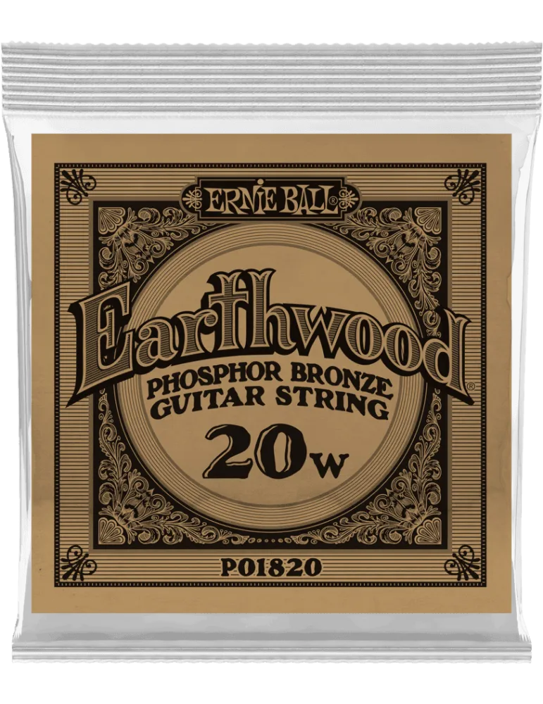 ERNIE BALL 1820 | MusicGoodDeal