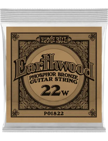 ERNIE BALL 1822 | MusicGoodDeal