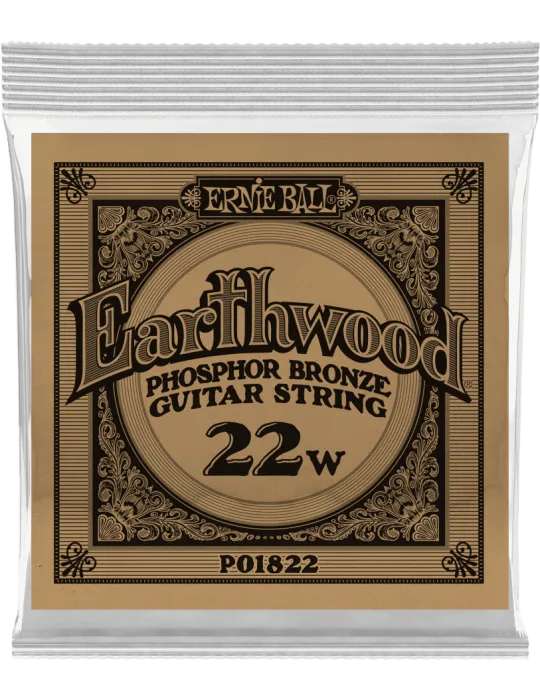 ERNIE BALL 1822 | MusicGoodDeal