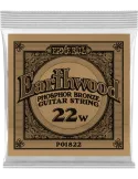 ERNIE BALL 1822 | MusicGoodDeal