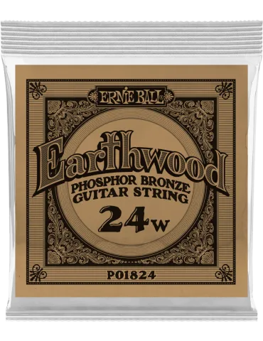 ERNIE BALL 1824