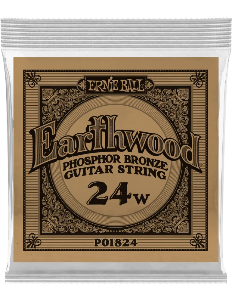 ERNIE BALL 1824 | MusicGoodDeal