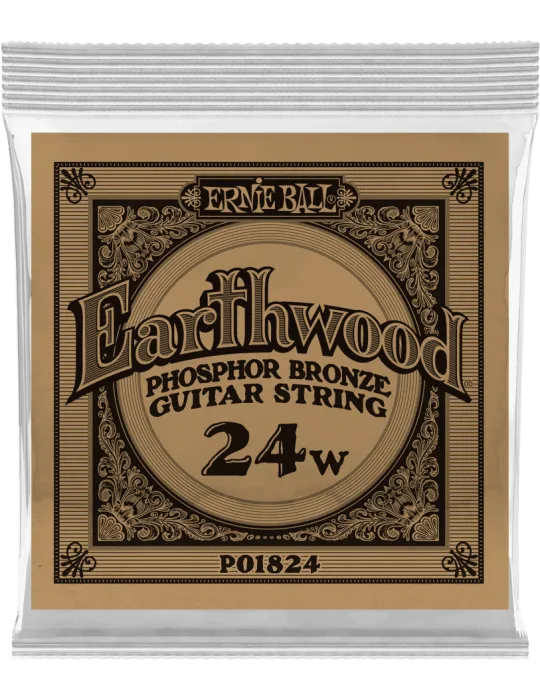 ERNIE BALL 1824 | MusicGoodDeal