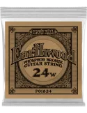 ERNIE BALL 1824 | MusicGoodDeal