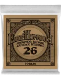 ERNIE BALL 1826 | MusicGoodDeal