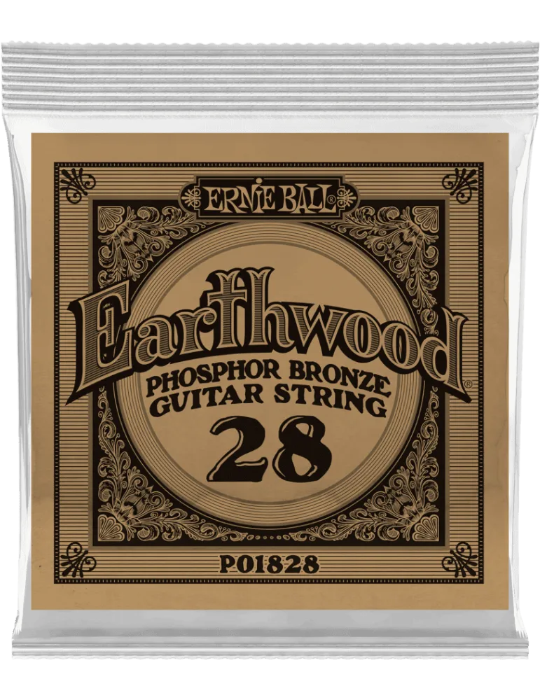 ERNIE BALL 1828 | MusicGoodDeal