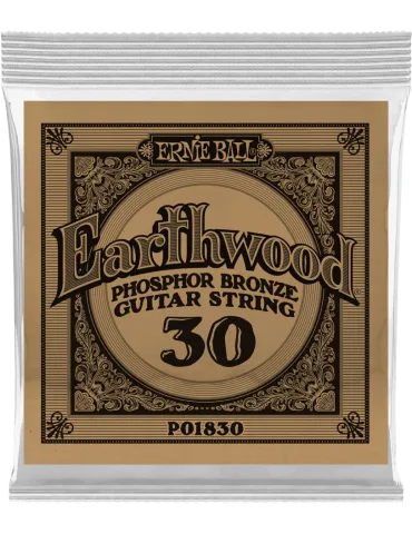 ERNIE BALL 1830