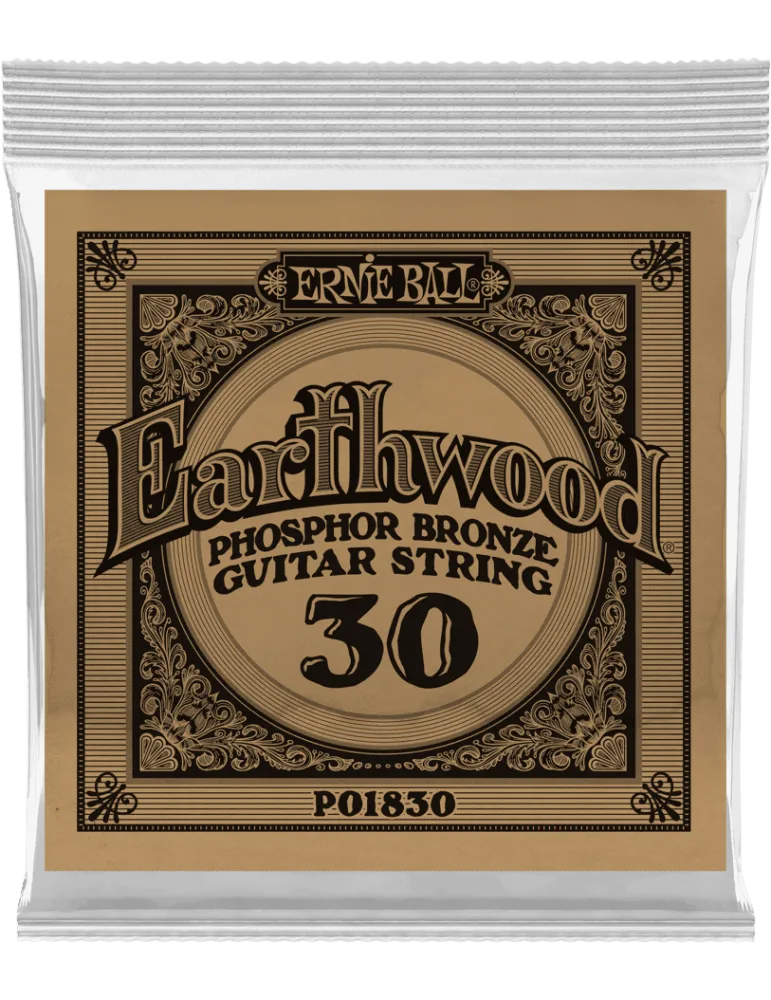 ERNIE BALL 1830 | MusicGoodDeal