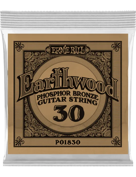 ERNIE BALL 1830 | MusicGoodDeal