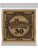 ERNIE BALL 1830 | MusicGoodDeal