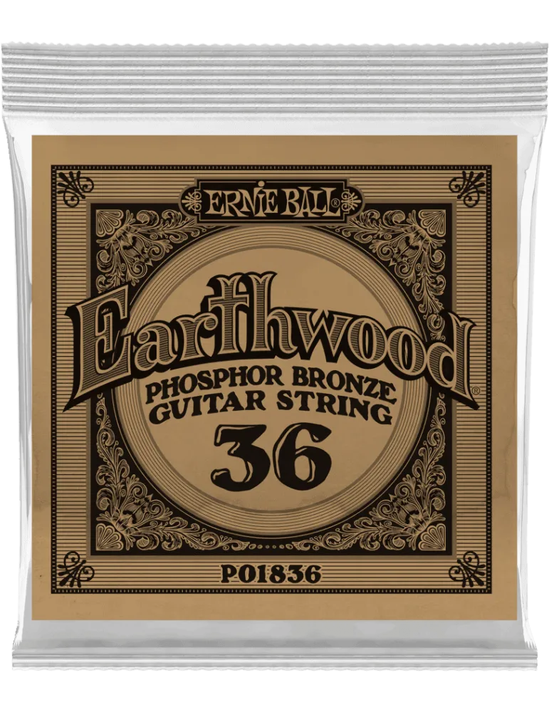 ERNIE BALL 1836 | MusicGoodDeal