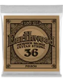 ERNIE BALL 1836 | MusicGoodDeal