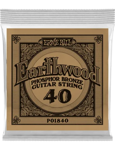 ERNIE BALL 1840 | MusicGoodDeal