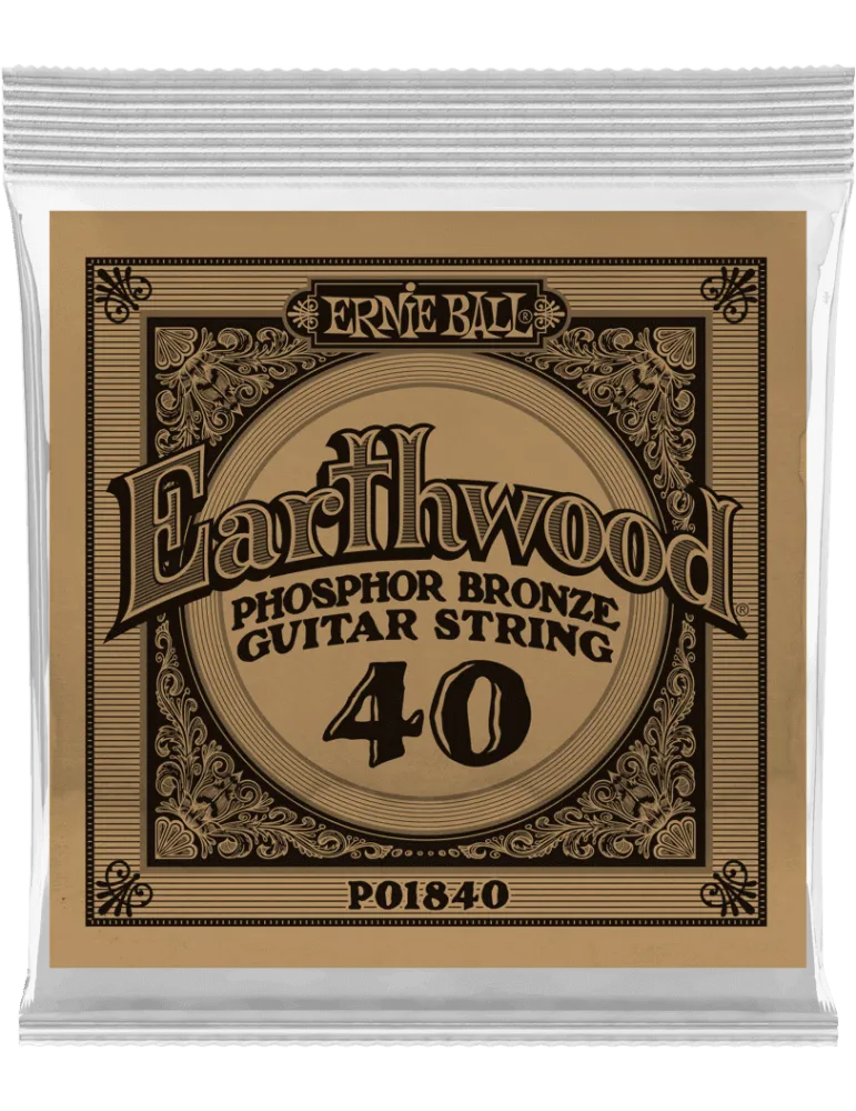 ERNIE BALL 1840 | MusicGoodDeal