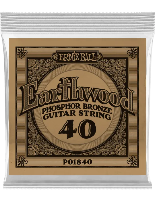 ERNIE BALL 1840 | MusicGoodDeal