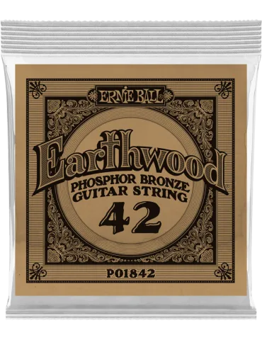 ERNIE BALL 1842