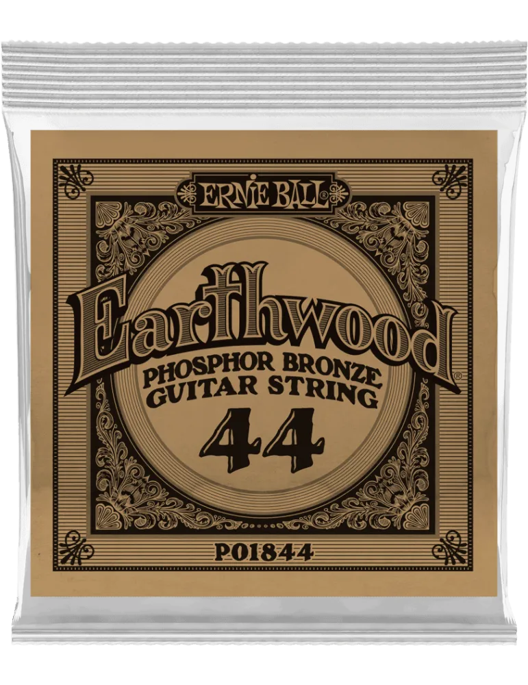 ERNIE BALL 1844 | MusicGoodDeal