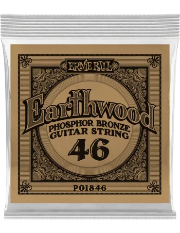 ERNIE BALL 1846 | MusicGoodDeal
