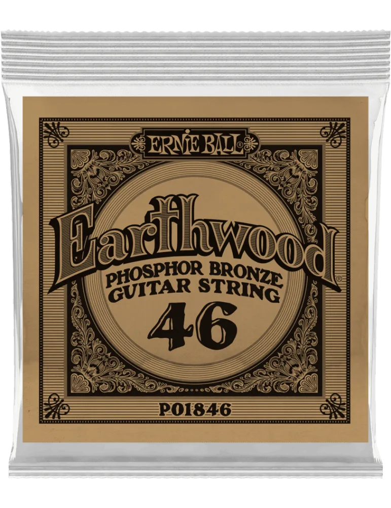 ERNIE BALL 1846 | MusicGoodDeal