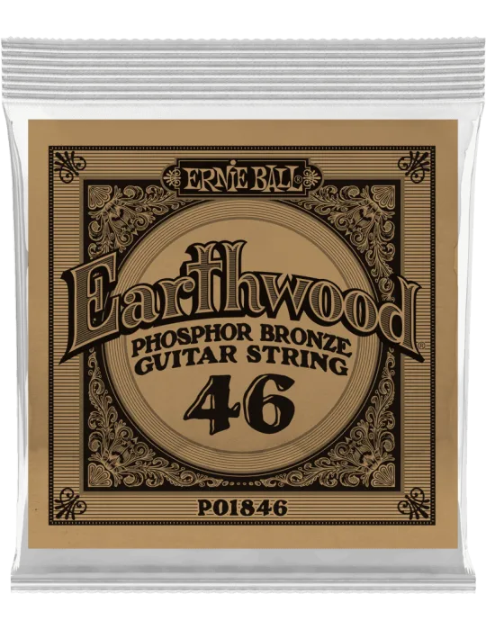 ERNIE BALL 1846 | MusicGoodDeal