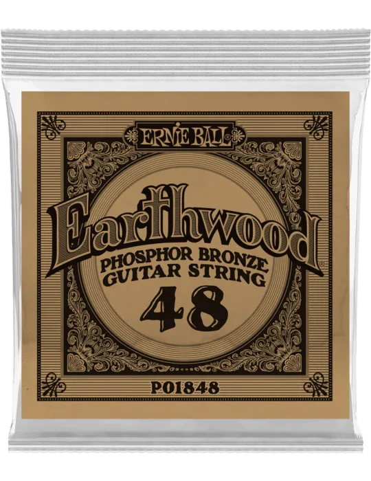 ERNIE BALL 1848 | MusicGoodDeal