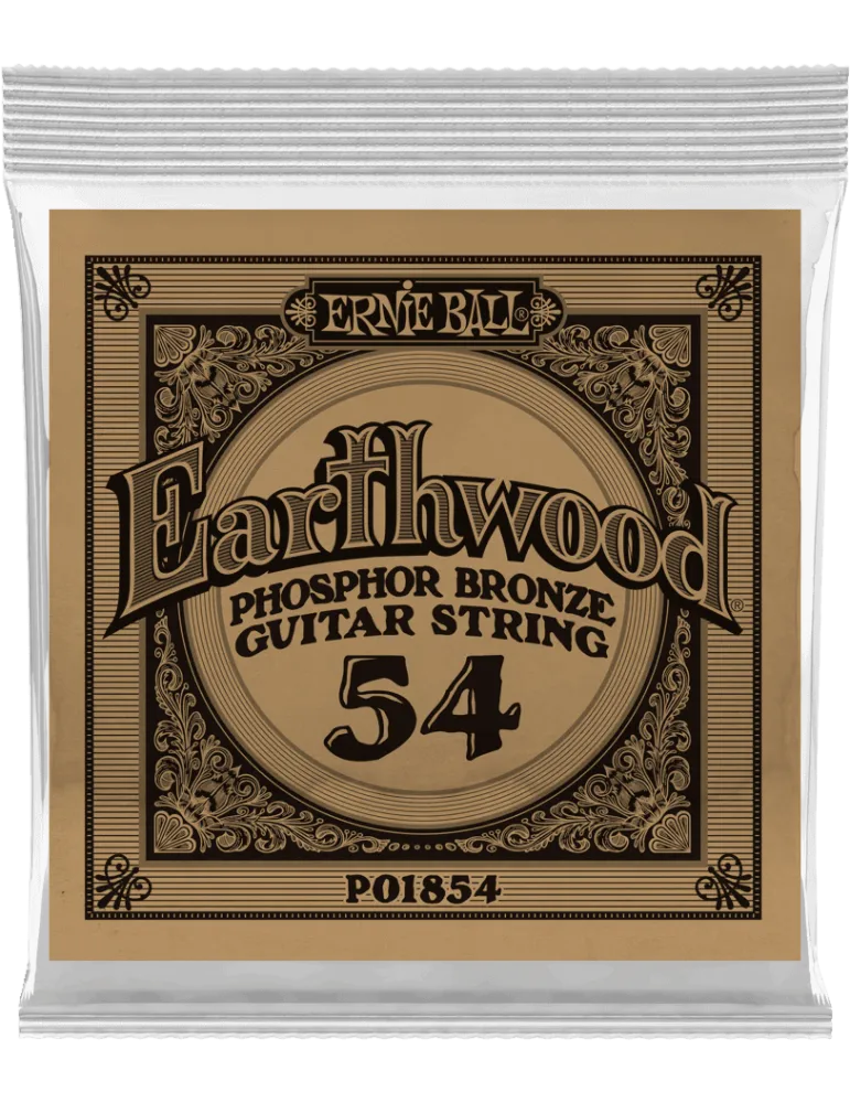 ERNIE BALL 1854 | MusicGoodDeal