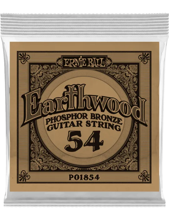 ERNIE BALL 1854 | MusicGoodDeal