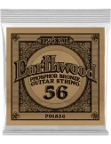 ERNIE BALL 1856 | MusicGoodDeal